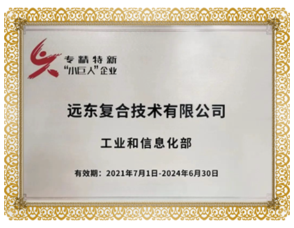 專精特精小巨人企業