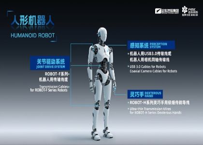 Recreating Intangible Cultural Heritage Hand Lion ...